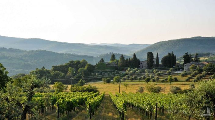 Image No.14-8 Bed Apartment for sale