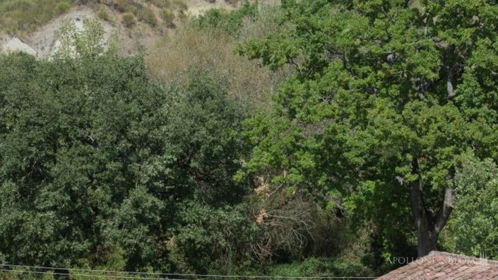 Image No.18-3 Bed Apartment for sale