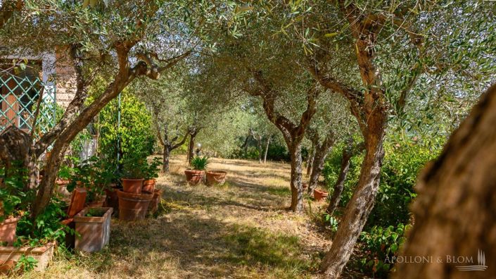 Image No.20-5 Bed Country House for sale