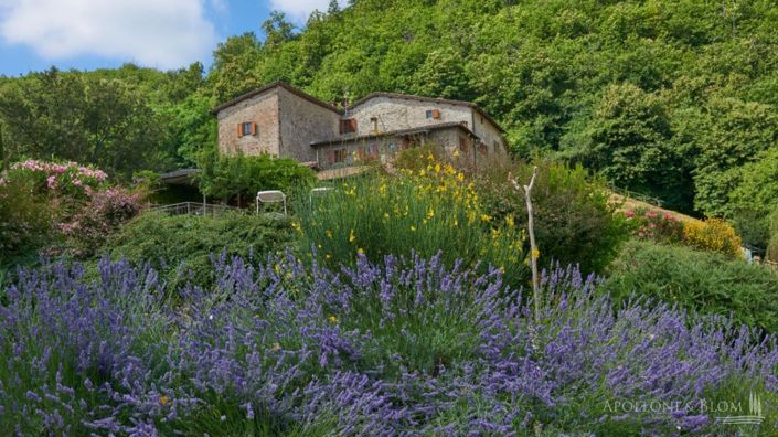 Image No.30-12 Bed Apartment for sale