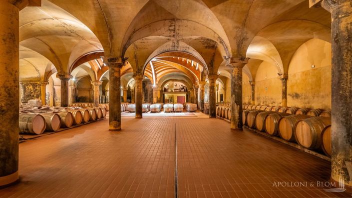 Image No.10-11 Bed Vineyard for sale