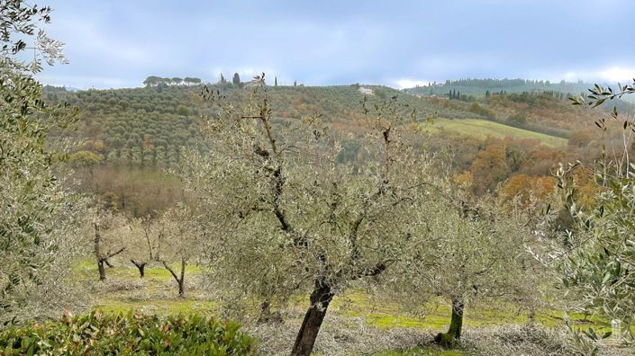 Image No.25-11 Bed Vineyard for sale