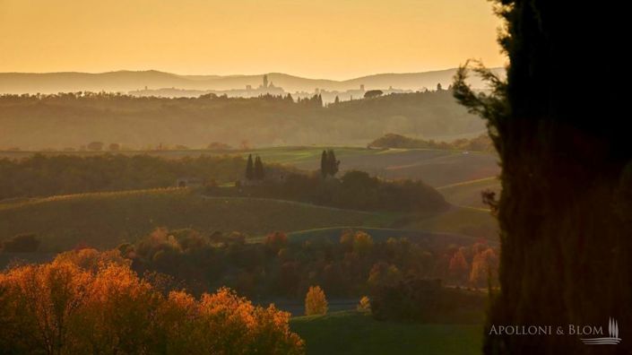 Image No.5-28 Bed Villa for sale