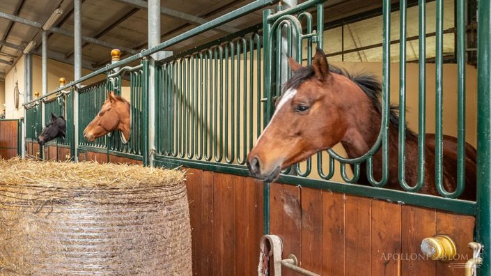 Image No.6-10 Bed Apartment for sale