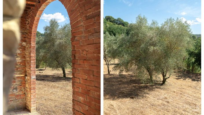 Image No.5-4 Bed Apartment for sale