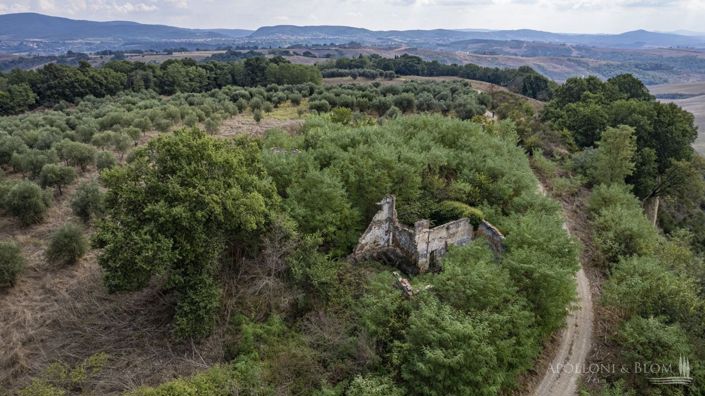 Image No.13-Plot for sale