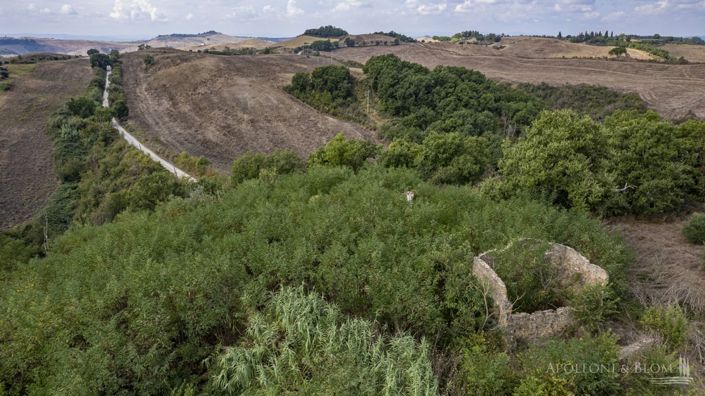 Image No.8-Plot for sale