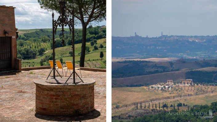 Image No.14-11 Bed Vineyard for sale