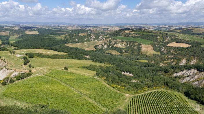 Image No.9-11 Bed Vineyard for sale