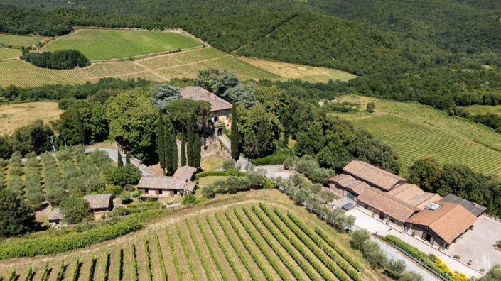 Image No.1-14 Bed Vineyard for sale