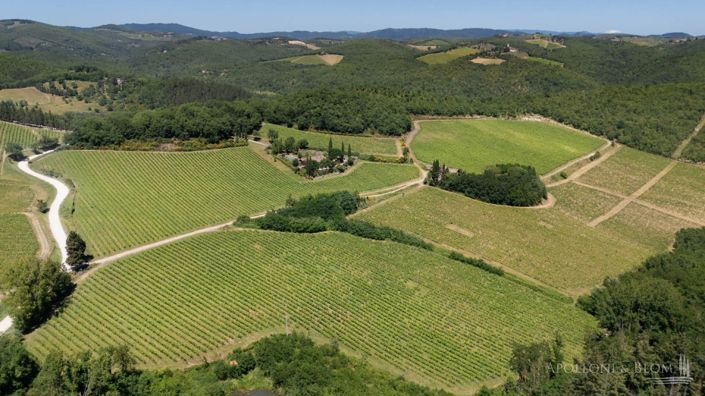 Image No.15-14 Bed Vineyard for sale