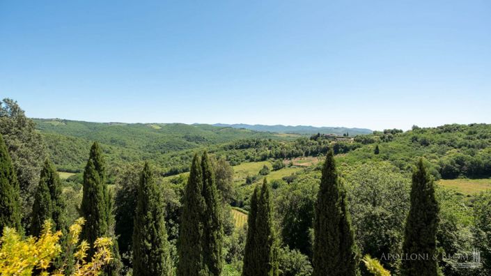 Image No.19-14 Bed Vineyard for sale