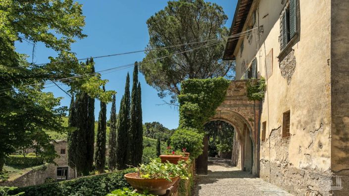 Image No.3-14 Bed Vineyard for sale