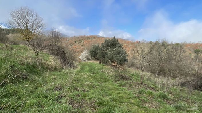 Image No.14-Plot for sale