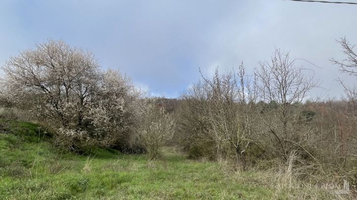 Image No.25-Plot for sale