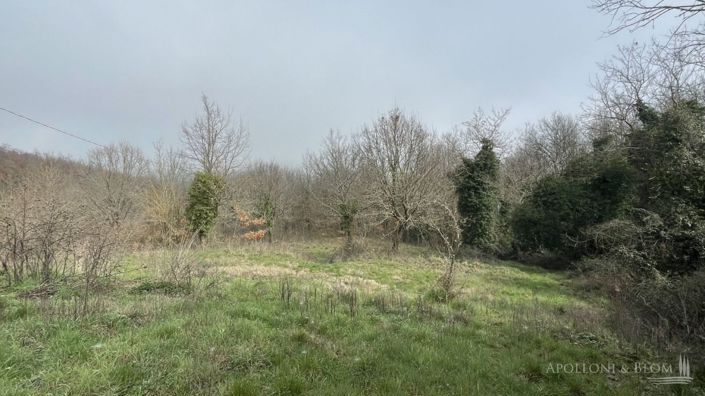 Image No.27-Plot for sale