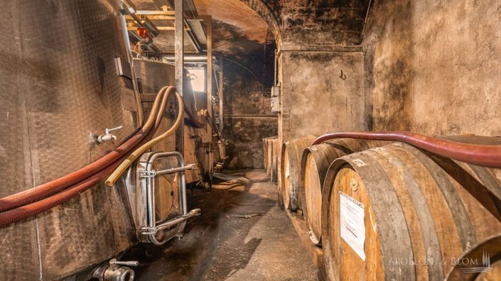 Image No.27-4 Bed Vineyard for sale