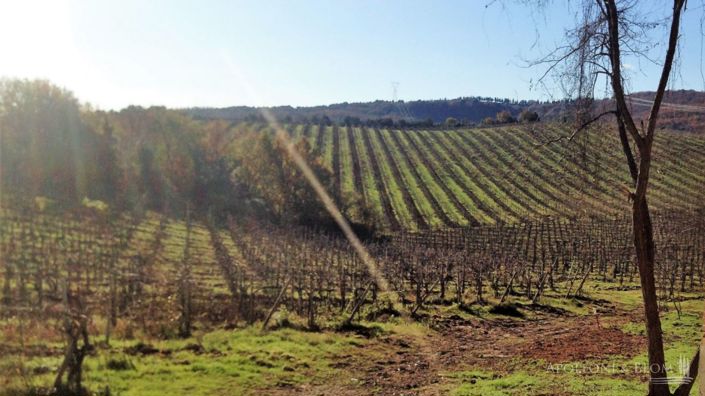 Image No.13-25 Bed Apartment for sale