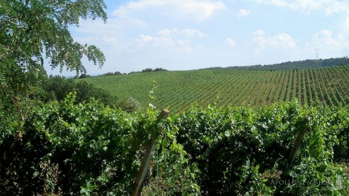 Image No.9-25 Bed Apartment for sale