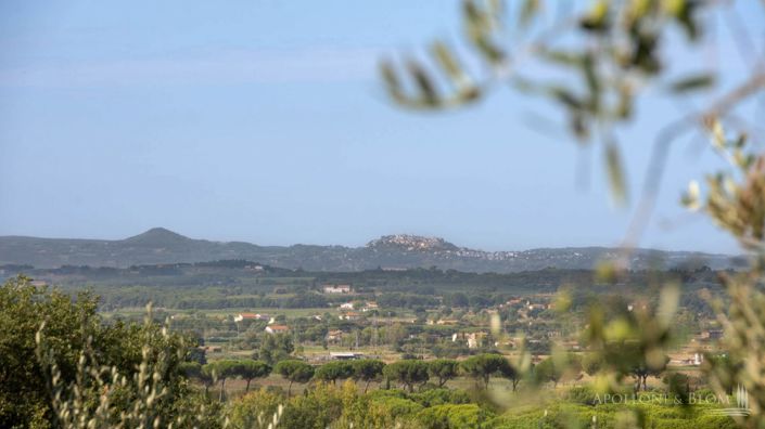 Image No.4-4 Bed Country House for sale