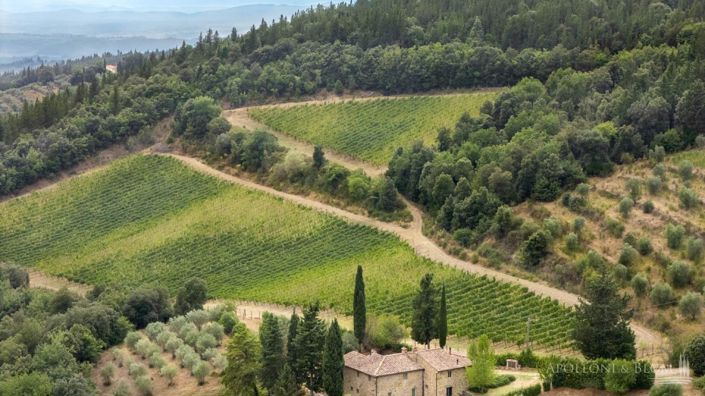 Image No.29-32 Bed Vineyard for sale