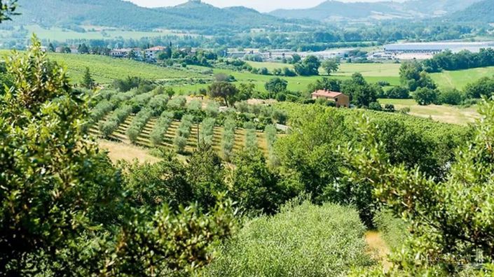 Image No.17-43 Bed Apartment for sale