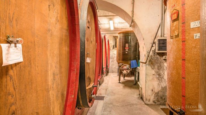 Image No.16-6 Bed Vineyard for sale