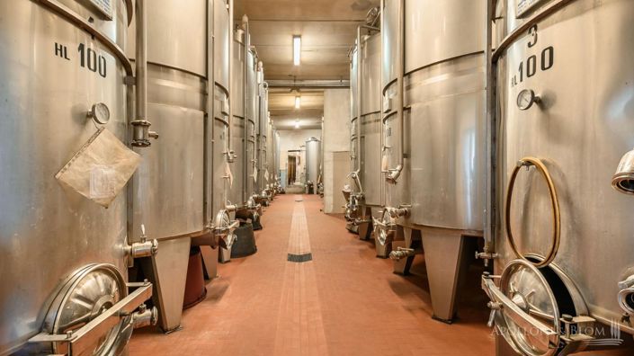 Image No.19-6 Bed Vineyard for sale