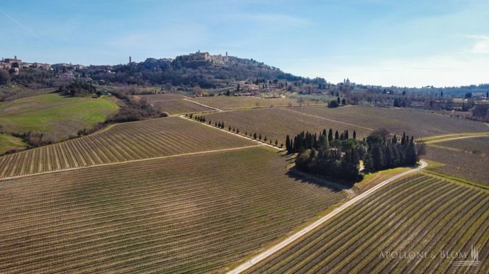 Image No.8-6 Bed Vineyard for sale