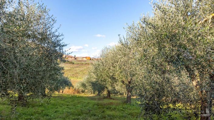 Image No.30-6 Bed Country House for sale