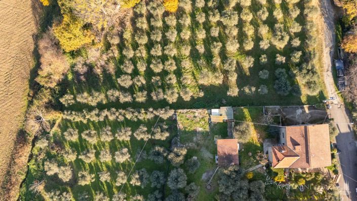 Image No.6-6 Bed Country House for sale