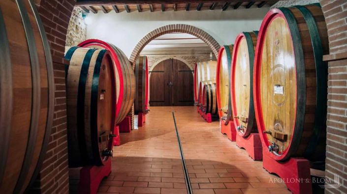 Image No.1-5 Bed Vineyard for sale