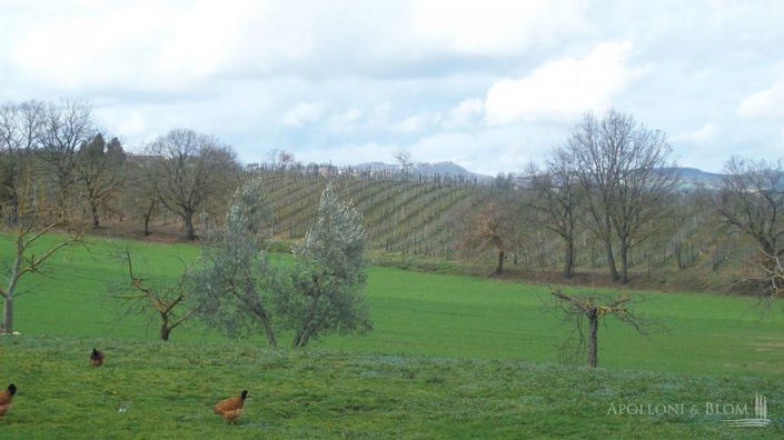 Image No.16-5 Bed Vineyard for sale