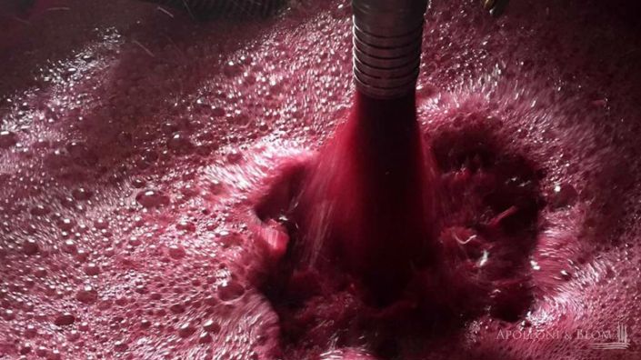 Image No.17-5 Bed Vineyard for sale