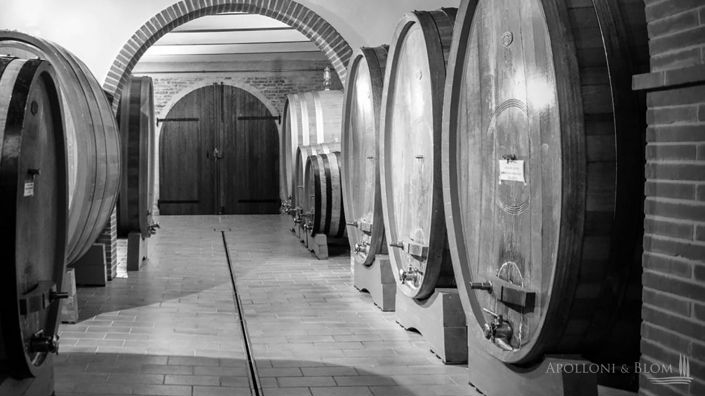 Image No.6-5 Bed Vineyard for sale