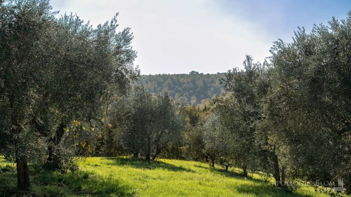 Image No.17-Apartment for sale