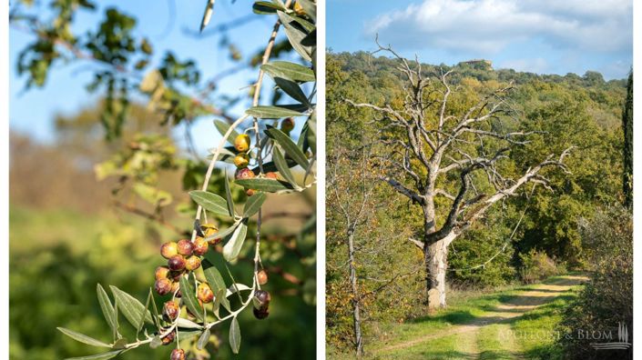 Image No.20-Apartment for sale