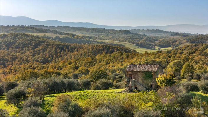 Image No.3-Apartment for sale