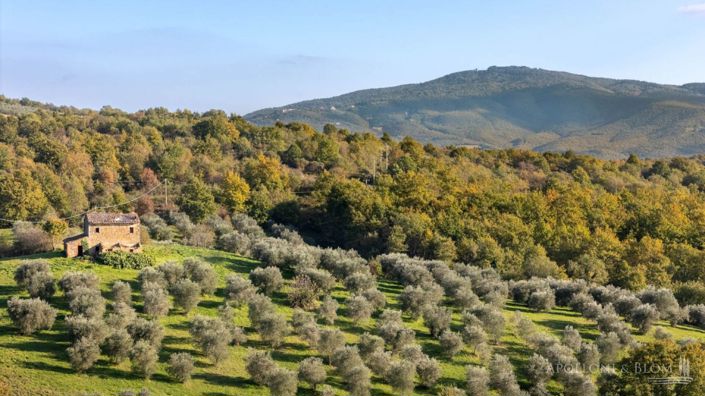 Image No.8-Apartment for sale