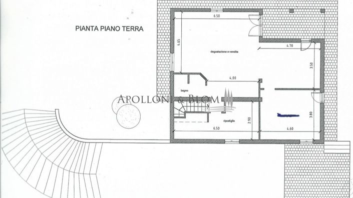 Image No.3-floorplan-3