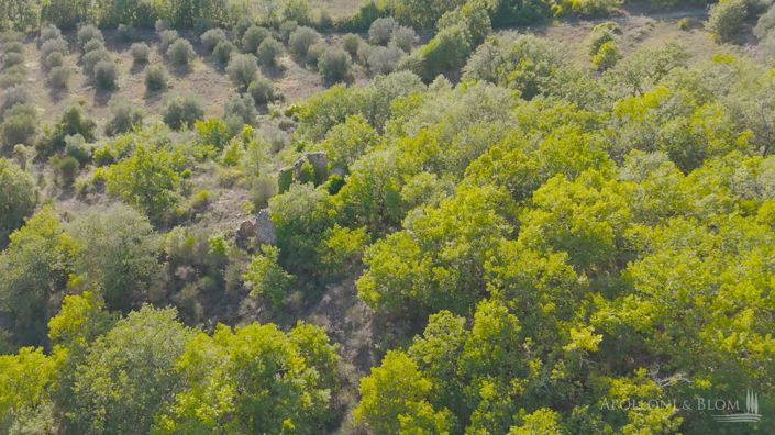 Image No.11-Plot for sale