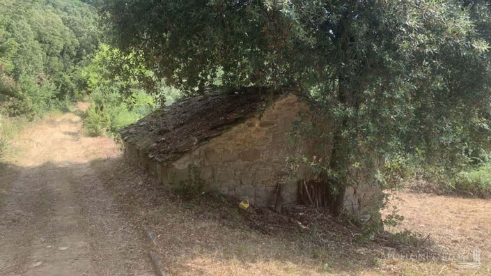 Image No.14-4 Bed Apartment for sale