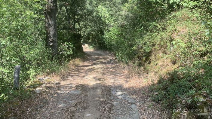 Image No.18-4 Bed Apartment for sale