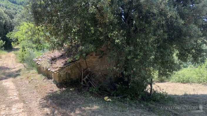 Image No.19-4 Bed Apartment for sale