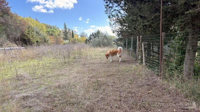 Image No.4-4 Bed Apartment for sale