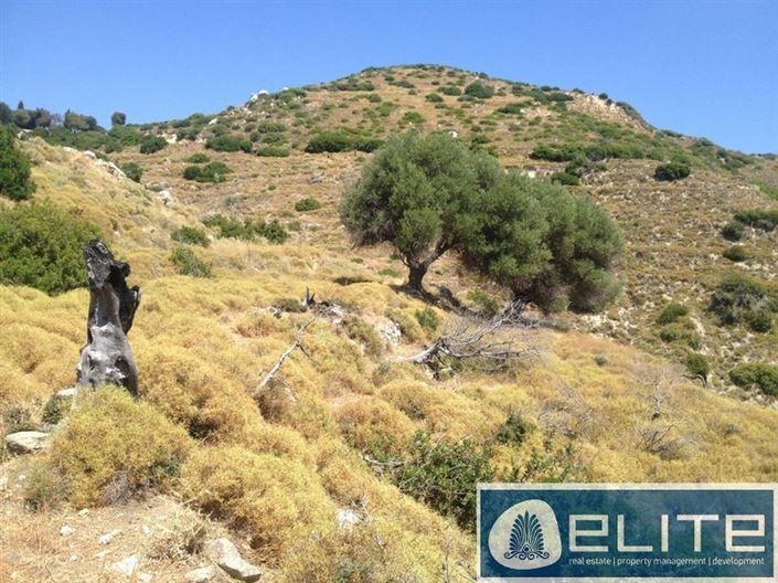 Image No.2-Plot for sale