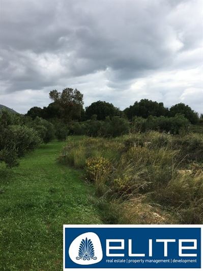 Image No.10-Plot for sale