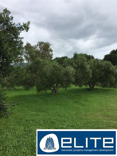 Image No.18-Plot for sale