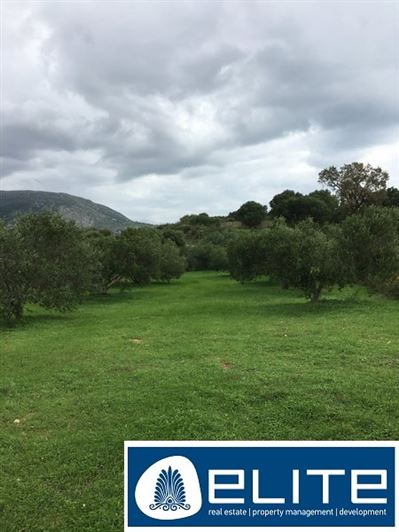 Image No.2-Plot for sale