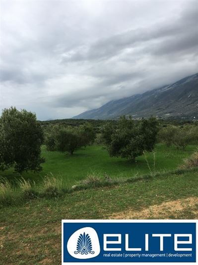 Image No.28-Plot for sale